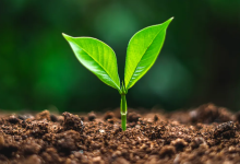 Bankless：在加密基础设施等方面需要关注的 5 个投资领域-币圈最新消息