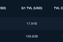 Nansen：数据概览 BNB Chain 二季度关键进展-币圈最新消息