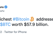 数据：比特币持有量前 100 地址共持有超 298 万枚 BTC，价值 579 亿美元-币圈最新消息