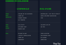 应用链时代，详解 Avalanche 与 Cosmos 的差异-币圈最新消息
