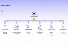 “首发”币安，背靠Animoca Brands，Open Campus的Web3教育野望-币圈最新消息