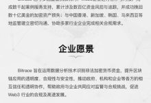 数据:五个BKEX地址一年内直接流入499万风险USDT-币圈最新消息